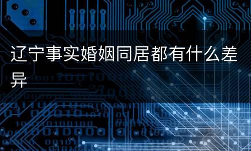 辽宁事实婚姻同居都有什么差异