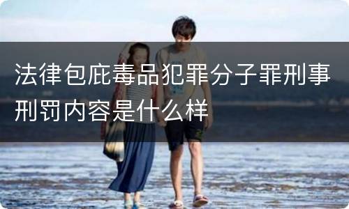 法律包庇毒品犯罪分子罪刑事刑罚内容是什么样