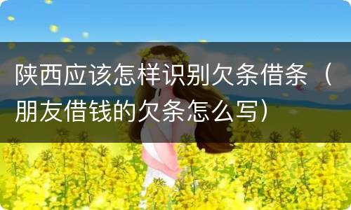 陕西应该怎样识别欠条借条（朋友借钱的欠条怎么写）