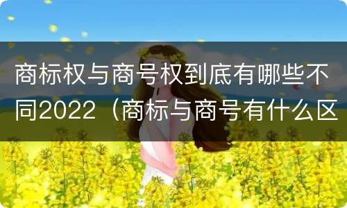 商标权与商号权到底有哪些不同2022（商标与商号有什么区别）