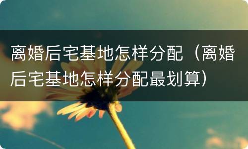 离婚后宅基地怎样分配（离婚后宅基地怎样分配最划算）