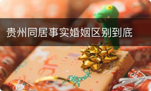 贵州同居事实婚姻区别到底