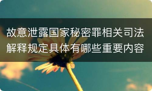 故意泄露国家秘密罪相关司法解释规定具体有哪些重要内容