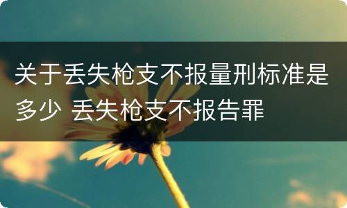 关于丢失枪支不报量刑标准是多少 丢失枪支不报告罪