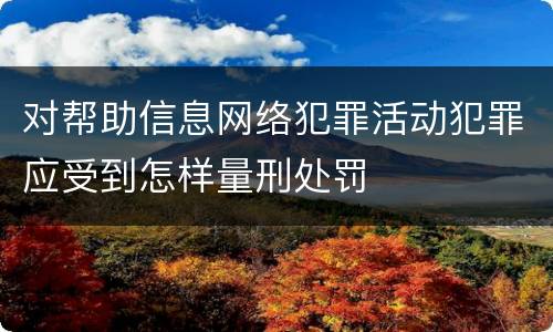 对帮助信息网络犯罪活动犯罪应受到怎样量刑处罚