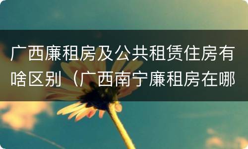 广西廉租房及公共租赁住房有啥区别（广西南宁廉租房在哪个区域）