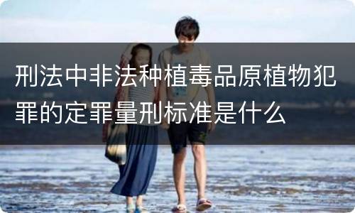 刑法中非法种植毒品原植物犯罪的定罪量刑标准是什么