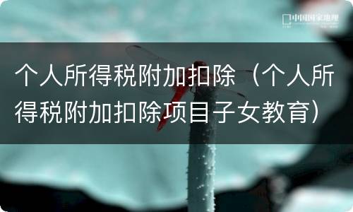 个人所得税附加扣除（个人所得税附加扣除项目子女教育）