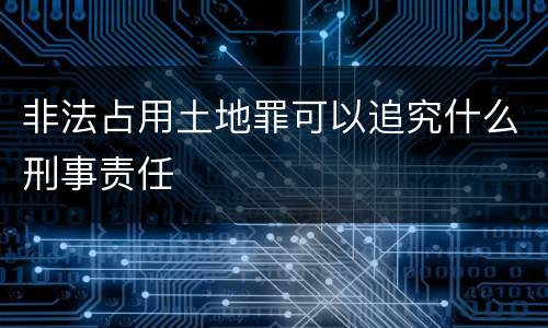 非法占用土地罪可以追究什么刑事责任