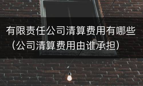 有限责任公司清算费用有哪些（公司清算费用由谁承担）