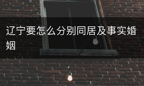 辽宁要怎么分别同居及事实婚姻