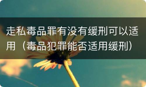 走私毒品罪有没有缓刑可以适用（毒品犯罪能否适用缓刑）