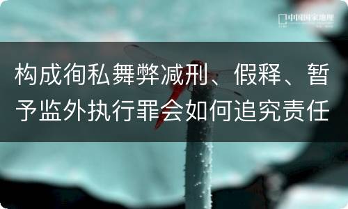 构成徇私舞弊减刑、假释、暂予监外执行罪会如何追究责任