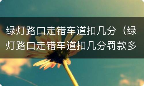 绿灯路口走错车道扣几分（绿灯路口走错车道扣几分罚款多少）