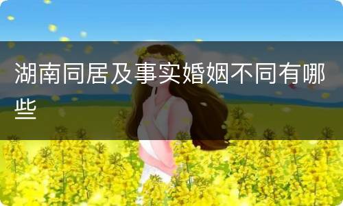 湖南同居及事实婚姻不同有哪些