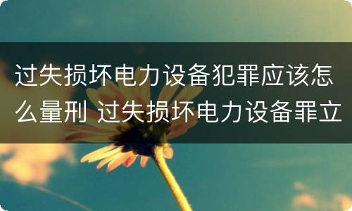 过失损坏电力设备犯罪应该怎么量刑 过失损坏电力设备罪立案标准
