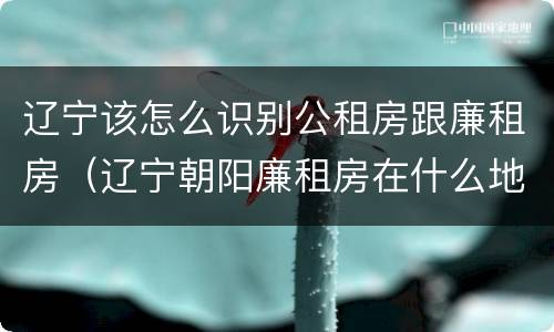 辽宁该怎么识别公租房跟廉租房（辽宁朝阳廉租房在什么地方）