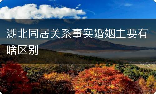 湖北同居关系事实婚姻主要有啥区别