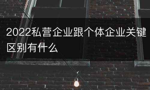 2022私营企业跟个体企业关键区别有什么