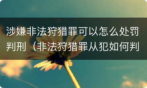 涉嫌非法狩猎罪可以怎么处罚判刑（非法狩猎罪从犯如何判刑）