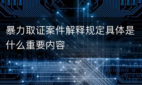 暴力取证案件解释规定具体是什么重要内容