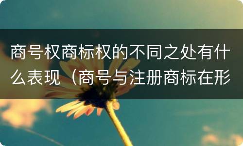 商号权商标权的不同之处有什么表现（商号与注册商标在形式上是一样的）