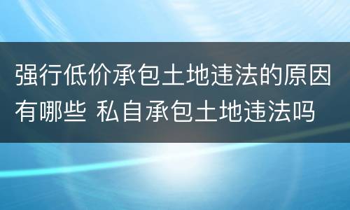 强行低价承包土地违法的原因有哪些 私自承包土地违法吗