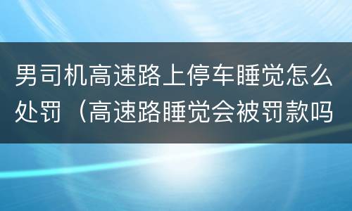 男司机高速路上停车睡觉怎么处罚（高速路睡觉会被罚款吗）