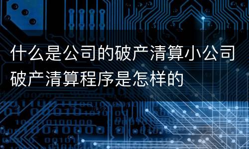 什么是公司的破产清算小公司破产清算程序是怎样的