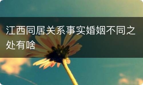 江西同居关系事实婚姻不同之处有啥