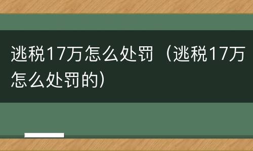 逃税17万怎么处罚（逃税17万怎么处罚的）