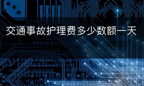 交通事故护理费多少数额一天