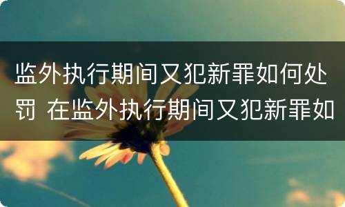 监外执行期间又犯新罪如何处罚 在监外执行期间又犯新罪如何判处