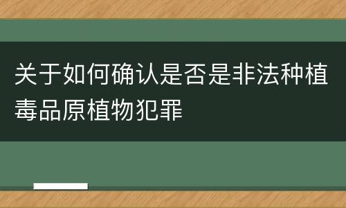 关于如何确认是否是非法种植毒品原植物犯罪