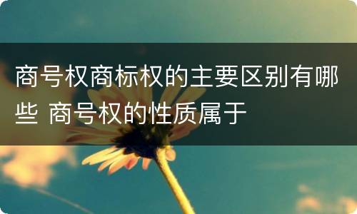 商号权商标权的主要区别有哪些 商号权的性质属于