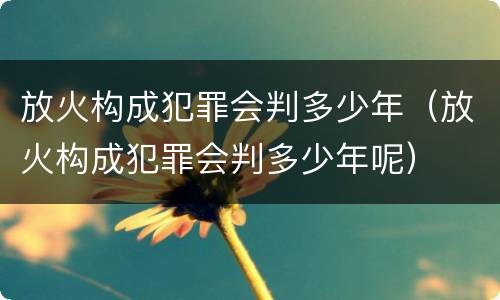 放火构成犯罪会判多少年（放火构成犯罪会判多少年呢）