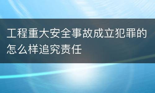 工程重大安全事故成立犯罪的怎么样追究责任