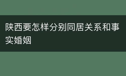 陕西要怎样分别同居关系和事实婚姻