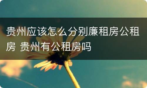贵州应该怎么分别廉租房公租房 贵州有公租房吗