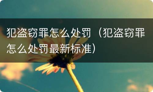 犯盗窃罪怎么处罚（犯盗窃罪怎么处罚最新标准）