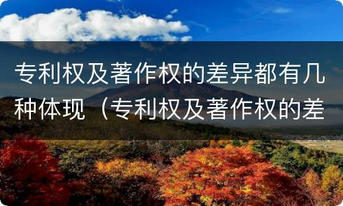 专利权及著作权的差异都有几种体现（专利权及著作权的差异都有几种体现方式）