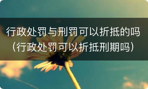 行政处罚与刑罚可以折抵的吗（行政处罚可以折抵刑期吗）