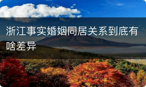 浙江事实婚姻同居关系到底有啥差异
