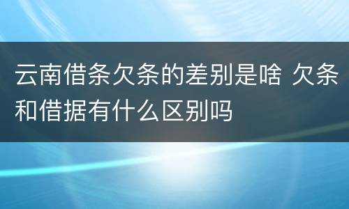 云南借条欠条的差别是啥 欠条和借据有什么区别吗