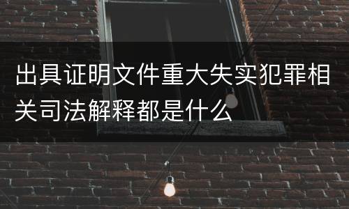 出具证明文件重大失实犯罪相关司法解释都是什么