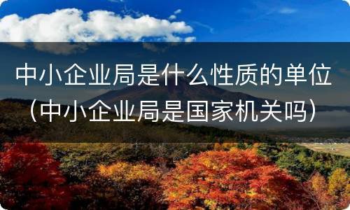 中小企业局是什么性质的单位（中小企业局是国家机关吗）