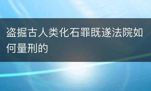 盗掘古人类化石罪既遂法院如何量刑的