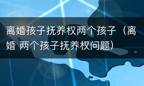 离婚孩子抚养权两个孩子（离婚 两个孩子抚养权问题）