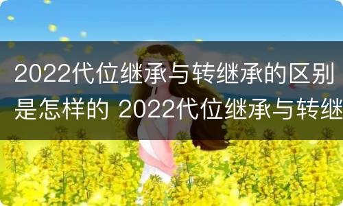 2022代位继承与转继承的区别是怎样的 2022代位继承与转继承的区别是怎样的呢