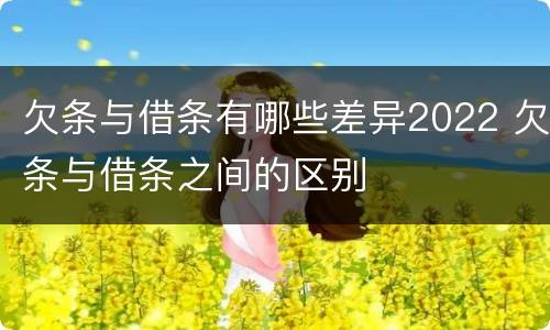 欠条与借条有哪些差异2022 欠条与借条之间的区别